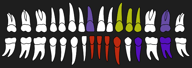 4Dental Lab interactive tooth chart with selected treatments